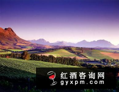 82年拉菲不会过期吗?解读82年法国红酒拉菲