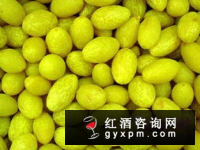 橄榄酒有何功效?七大好处让你爱不释手